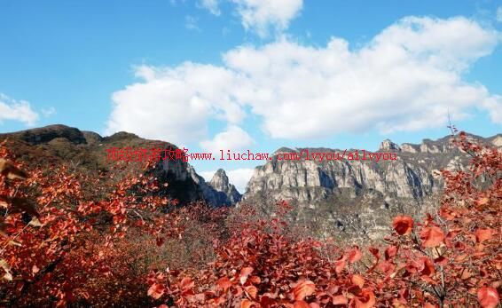 ������ɽ�·���羰�����ι���