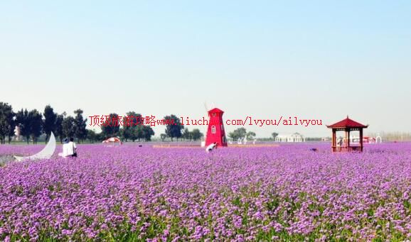 北京紫谷伊甸园旅游攻略