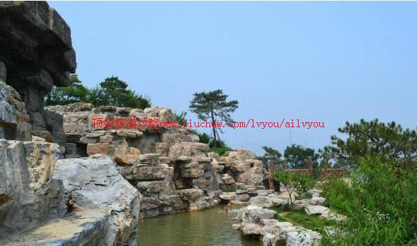 3A��������ɭ�ֹ�԰���ι���