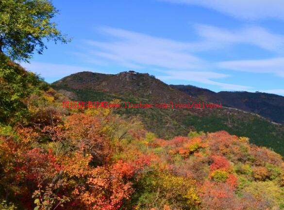4A北京香山公园旅游攻略