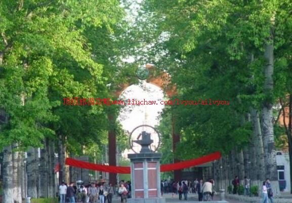 ������ͨ��ѧУ԰������ι���