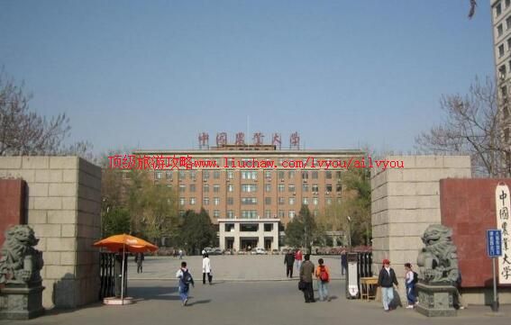 北京中国农业大学校园风光旅游攻略