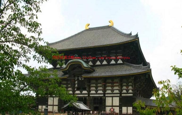 �ձ����������ι���