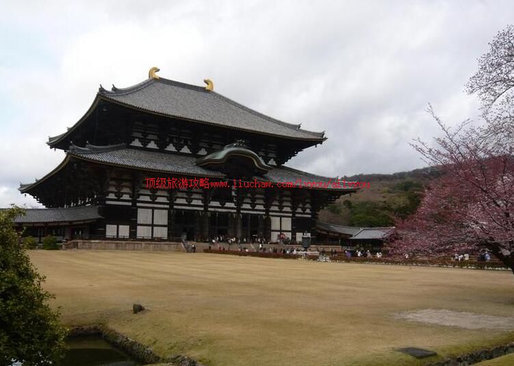 �ձ����������ι���