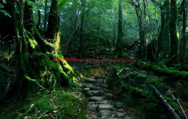 �ձ��ݾõ����ι���