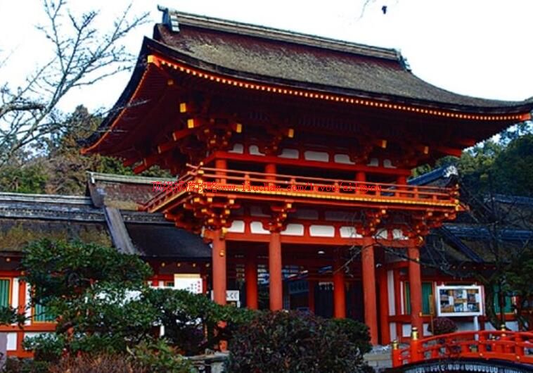 �ձ��Ϻ�ï�������ι���