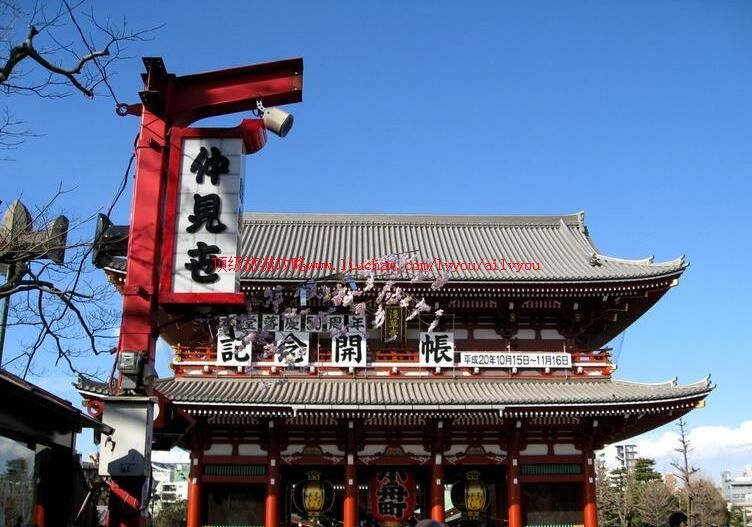 �ձ�����ǳ�������ι���