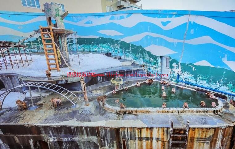 日本函馆市热带植物园旅游攻略