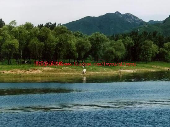 4A�������ܺ��羰�����ι���