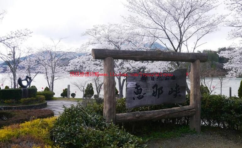 �ձ�᪸�����Ͽ���ι���