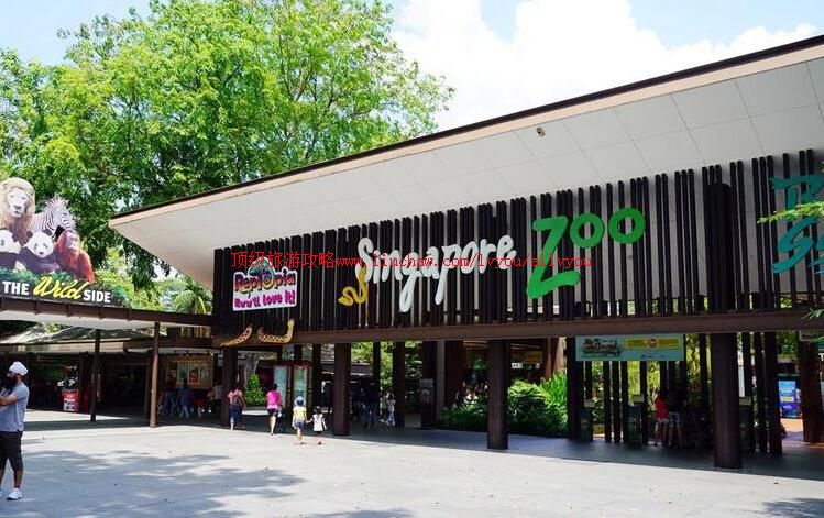 新加坡动物园旅游攻略