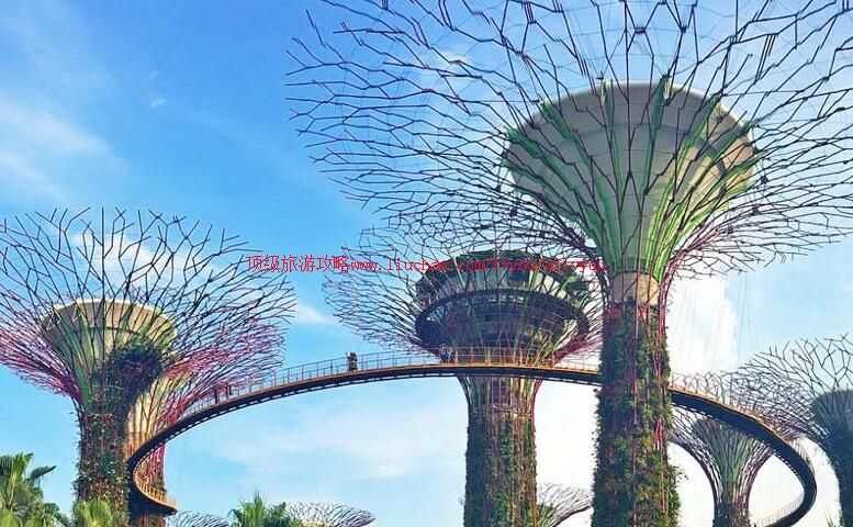 新加坡滨海湾花园旅游攻略