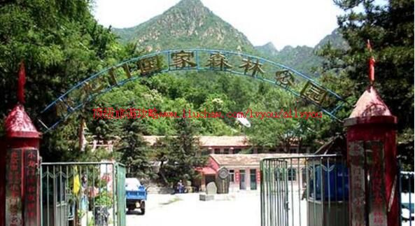 2A������ͷ��С���Ź���ɭ�ֹ�԰���ι���