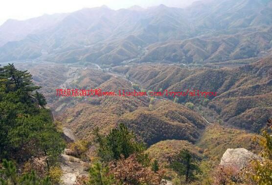 2A�������ƾŵ����Ͽ�����ι���