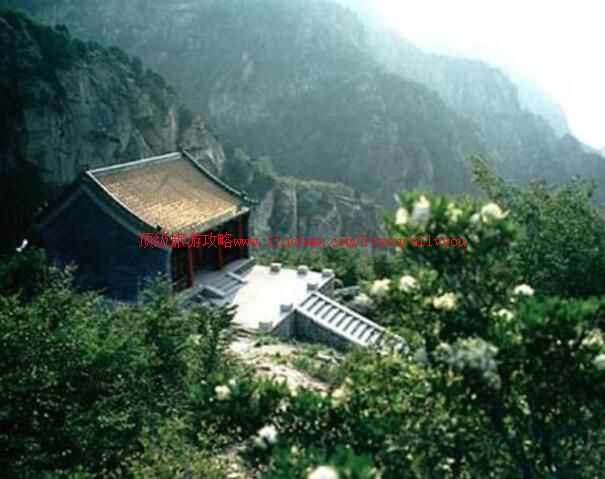 4A�������ƺ���̶��԰���ι���