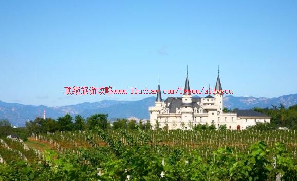 4A北京张裕爱斐堡国际酒庄旅游攻略