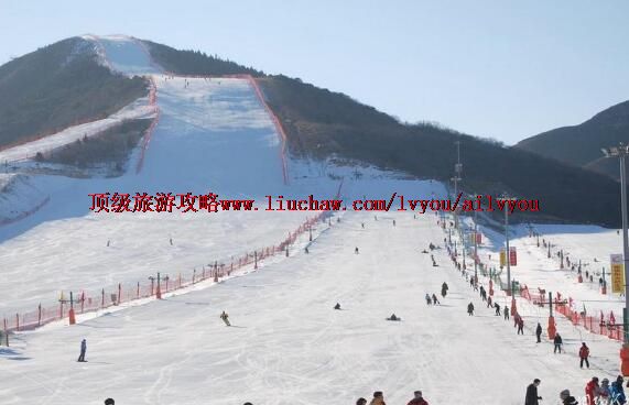 �����������ʻ�ѩ�����ι���