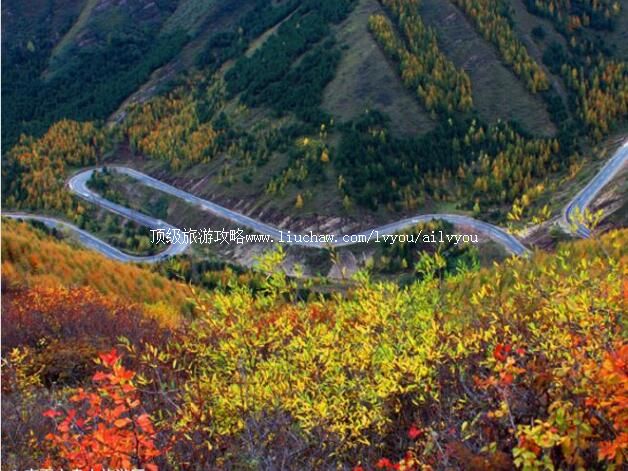 4A宁夏六盘山旅游区旅游攻略 固原市