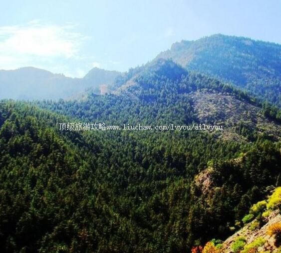 4A���������ڹ���ɭ�ֹ�԰���ι���          �����к�����