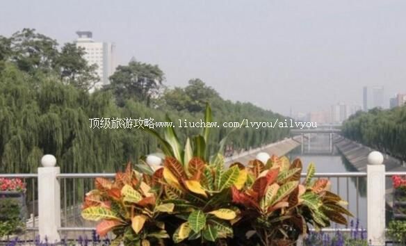 �������ӹ�԰���ι���