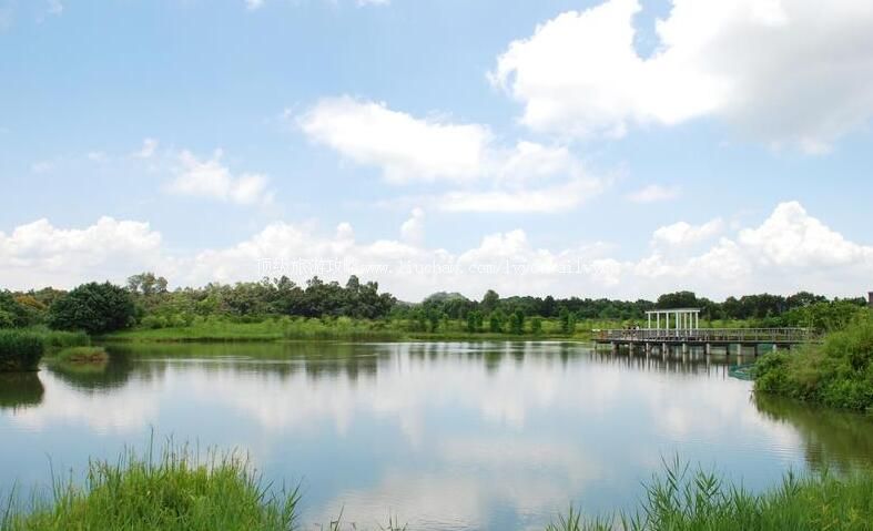 ���ʪ�ع�԰���ι���