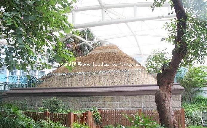 �����֣�ݺ�Ĺ���ι���