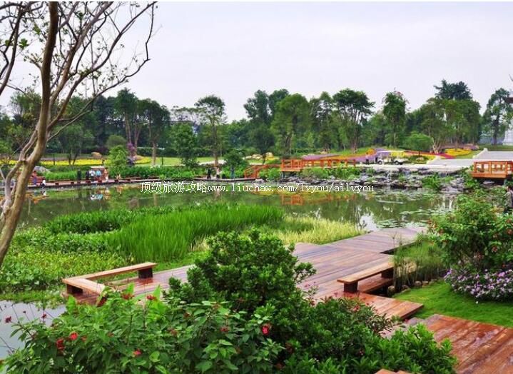 ���ݺ���ʪ�ع�԰���ι���