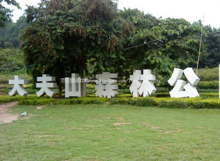 ���ݴ��ɽɭ�ֹ�԰���ι���