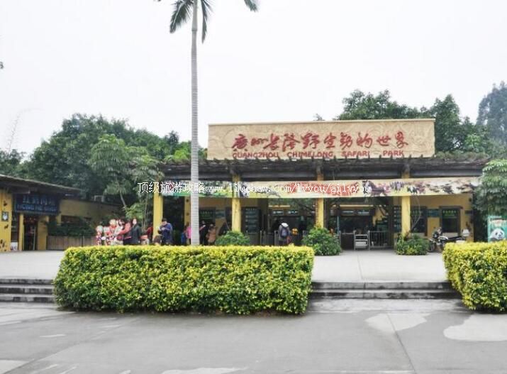 5A广州长隆野生动物世界旅游攻略