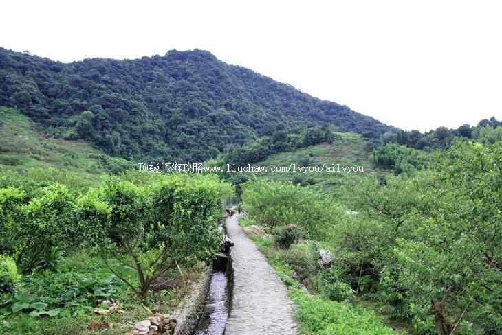 3A从化溪头旅游村旅游攻略