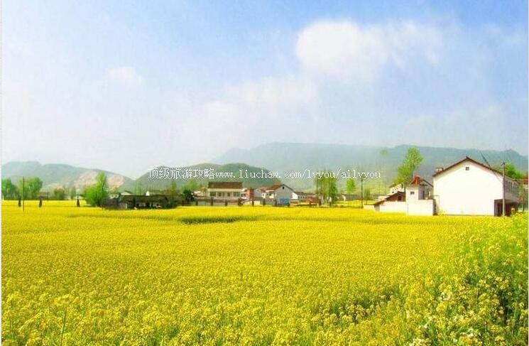 3A花都梯面红山村旅游攻略