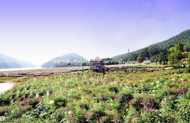 4A广州从化石门国家森林公园旅游攻略