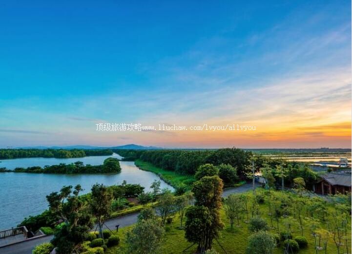 4A广州南沙滨海湿地旅游攻略