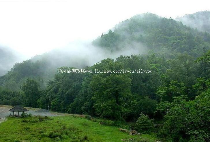 广东车八岭国家级自然保护区旅游攻略