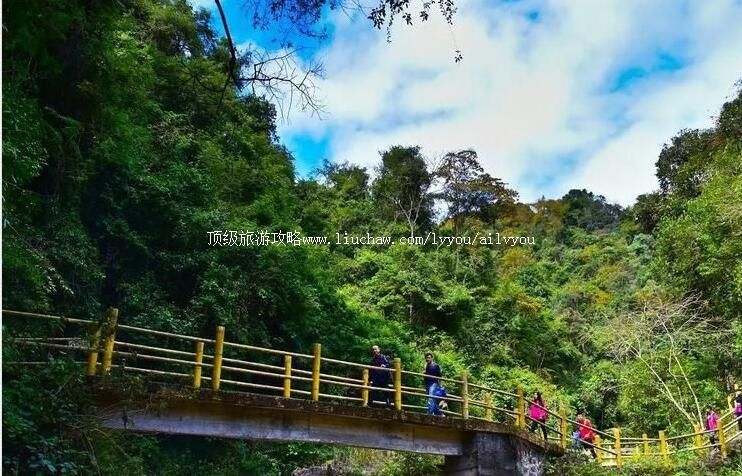 3A广东天井山国家森林公园旅游攻略