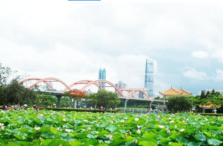 ���ں����԰���ι���