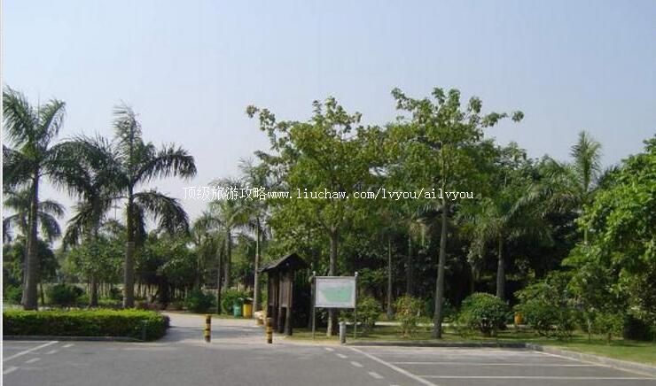 ���ں�������Ȼ���������ι���