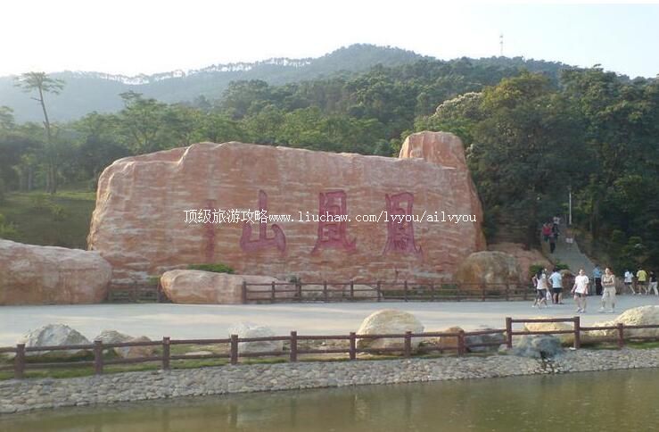 ���ڷ��ɽ���ι���