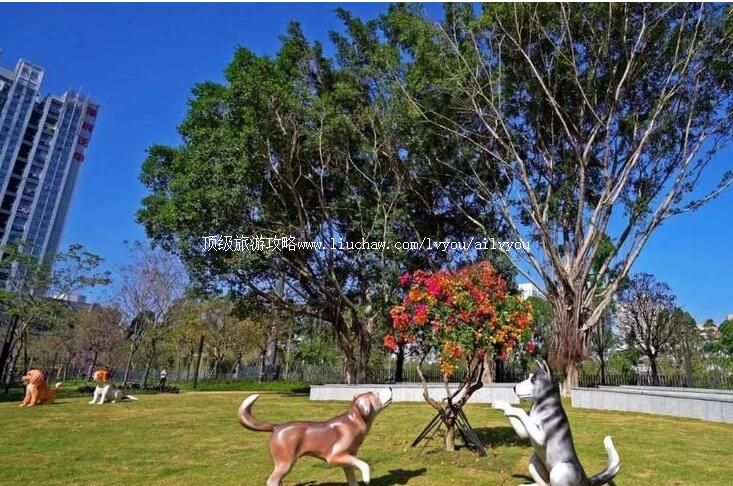 深圳宠物主题公园旅游攻略