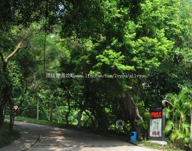 珠海板樟山森林公园旅游攻略