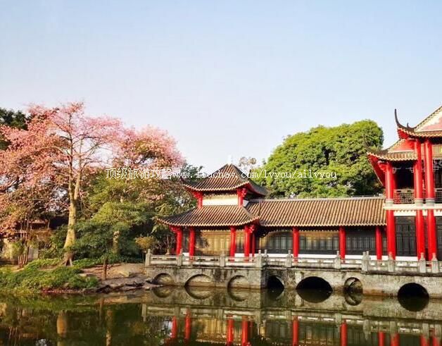 佛山中山公园旅游攻略