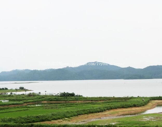 开平大沙河水库旅游攻略