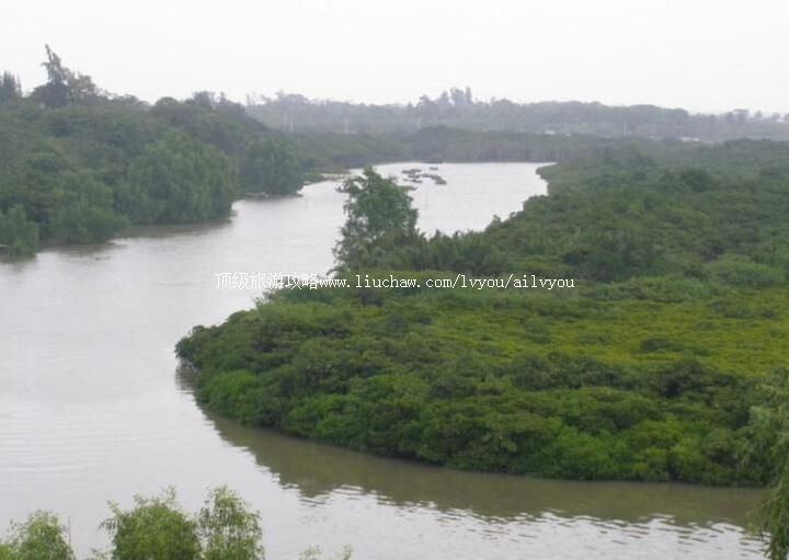 ���϶�կ�ۺ����ֱ��������ι���