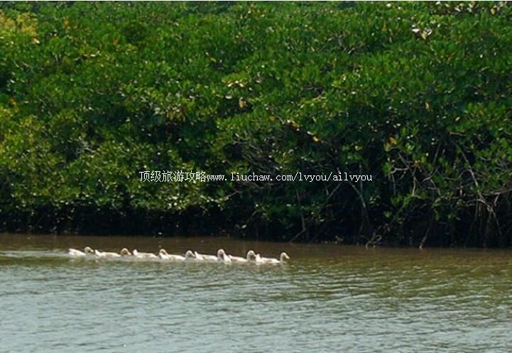 ���Ϻ��ڶ�կ�ۺ����ֱ��������ι���