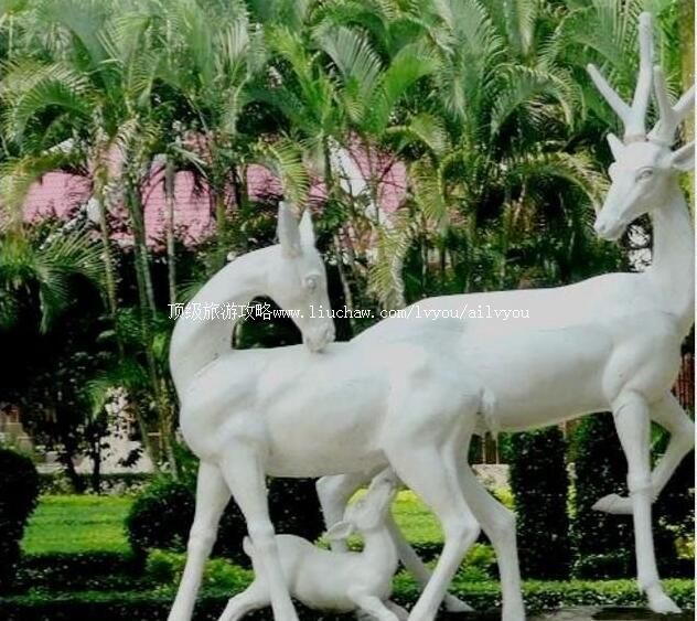 2A湛江金鹿园旅游攻略