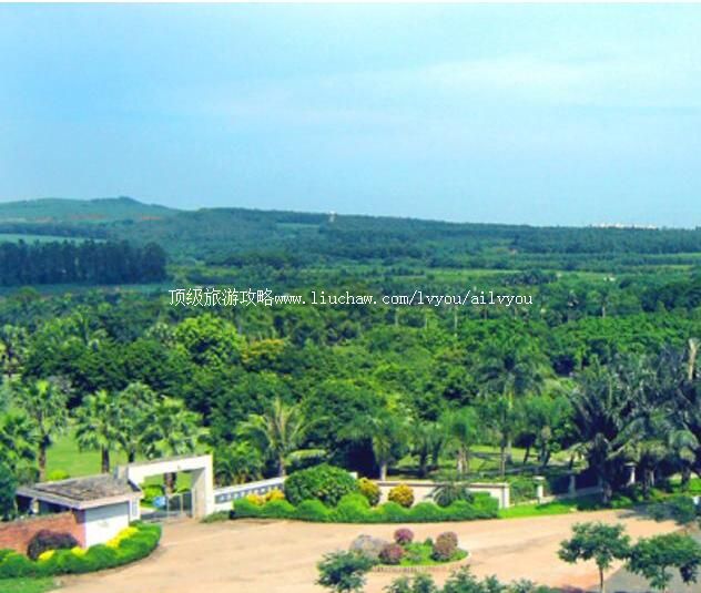 3Aտ�������ȴ�ֲ��԰���ι���