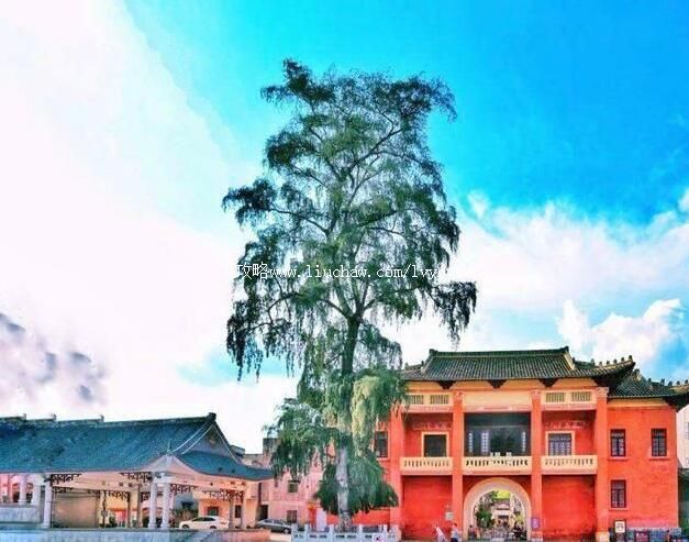 4A信宜窦州古城旅游攻略