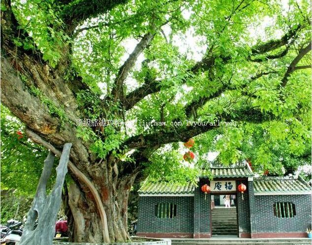 肇庆梅庵旅游攻略