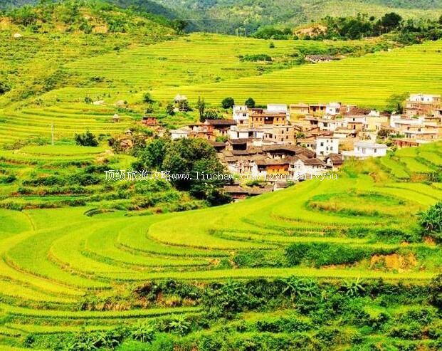 3A大埔坪山梯田旅游区旅游攻略