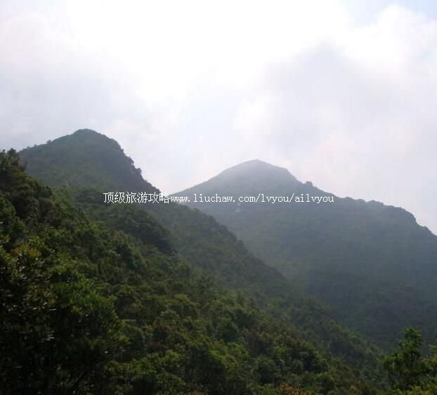 紫金武顿山旅游攻略